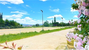 propriete à la vente -   13210  SAINT REMY DE PROVENCE, surface 130 m2 vente propriete - UBI467782580